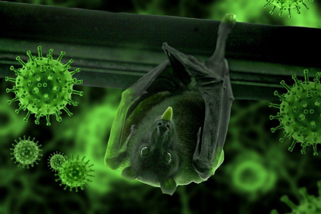 Zwischen Fledermaus und Medienzar