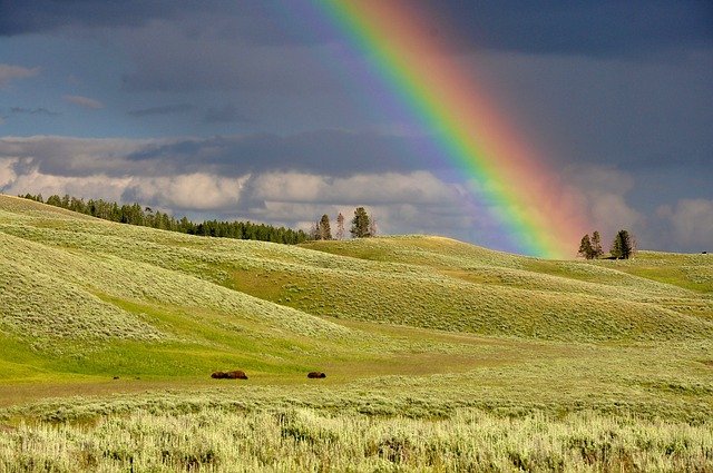 Diktator unterm Regenbogen