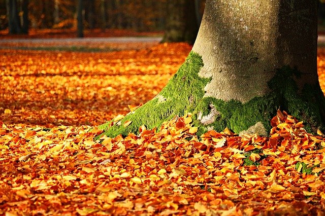 Herbsttag – Rainer Maria Rilke